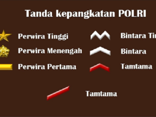 Mengenal Tingkatan Pangkat Polisi di Indonesia Lengkap dengan Tugasnya