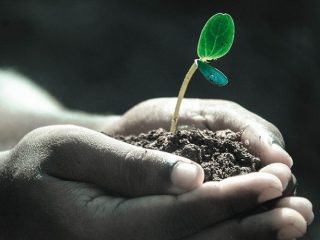 Soal dan Pembahasan Tentang Apa Perbedaan Antara Pertumbuhan dan Perkembangan