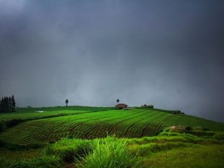 5 Destinasi Wisata di Kota Batu yang Cocok untuk Pemburu Foto Instagramable. Berikan Moment Liburan Berkesan!
