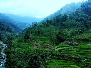 5 Rekomendasi Destinasi Wisata Alam di Kudus dengan Pemandangan Memukau. Harus Diintip Biar Nggak Nyesel