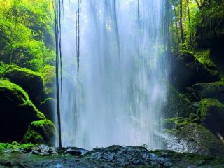 Air Terjun Lubuak Bulan, Pesona Wisata Air Terjun Raksasa yang Tunjukkan Eksotisme Alam Sumatera Barat