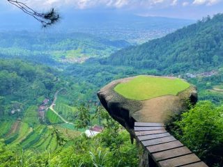 Goa Pinus Malang, Objek Wisata yang Penuh Spot Foto Instagrammable. Wisatawan Jawa Timuran, Monggo Kumpul!