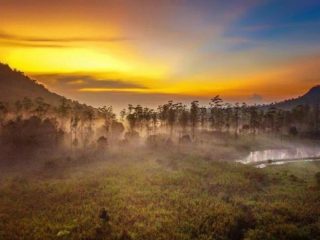 7 Rekomendasi Tempat Wisata Alam di Bandung yang Lagi Hits, Mantap Buat Dikunjungi Buat Healing