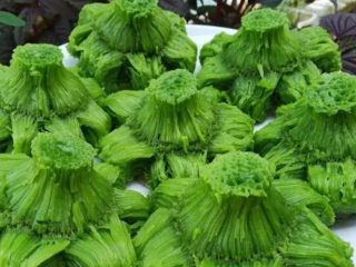 Resep Carabikang Cungkil Pandan Berserat, Jajanan Legendaris Terpopuler Sepanjang Masa yang Wajib di Coba!