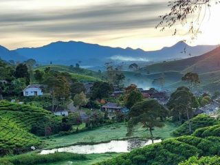 Lagi Viral, 7 Tempat Wisata di Pangalengan Bandung Jawa Barat ini Menjadi Objek Foto Instagram Paling Hits!