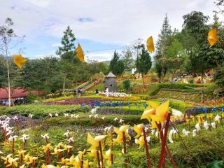 7 Tempat Wisata di Bandung Ciwidey yang Jadi Incaran Wisatawan. Lokasinya Asyik, Punya View Menarik!