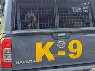 Polda Metro Jaya Kerahkan 5 Anjing Pelacak untuk Cari Korban Hilang Pasca Insiden Kebakaran Pertamina Plumpang
