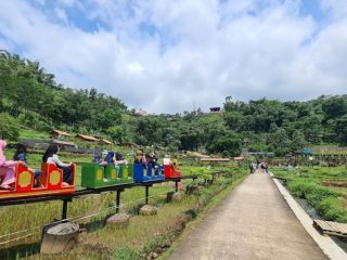 Hijau Segar Bikin Betah, Wisata Sawah Sumber Gempong Mojokerto di Jawa Timur Punya Banyak Wahana Unik!