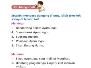 Kunci Jawaban Tema 2 Kelas 3 Halaman 58 Kurikulum Merdeka: TTS (Teka Teki Silang) Ayam Jago Baru