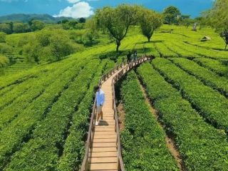 Nggak Cuma Sejuk, Ini 4 Tempat Wisata di Malang yang Cocok buat Piknik dan Hunting Foto Instagrammable