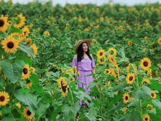 Lagi Hits dan Populer! Inilah 6 Tempat Wisata Trawas Mojokerto yang Penuh Spot Foto Instagrammable