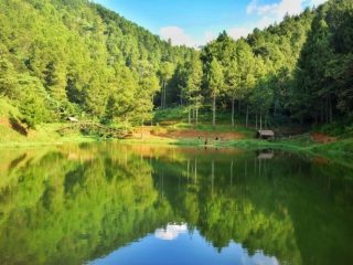 Situ Wulukut, Oase Menyegarkan di Tengah Hutan Kuningan yang Cocok untuk Healing dari Penat