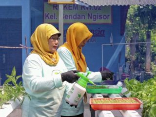 Transformasi Urban Farming: Teh Herbal Jadi Unggulan, Masyarakat Poktan Bensor Semarang Raih Sukses Berkat Dukungan BRInita
