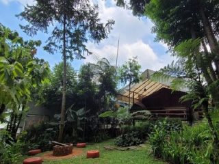 Keindahan Pondok Rasamala, Rasakan Sensasi Tempat Wisata Alam Pedesaan yang Dekat Jakarta