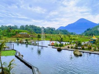Wisata Sawah Sumber Gempong, Tempat Wisata Asyik Khas Pedesaan di Trawas Mojokerto yang Cocok Dikunjungi Bareng Keluarga