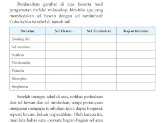 Kunci Jawaban IPA Kelas 8 Halaman 13 Kurikulum Merdeka, Apa yang Membedakan Sel Hewan dengan Sel Tumbuhan