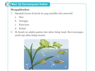 TERBARU! Kunci Jawaban IPA Kelas 9 Halaman 16 Kurikulum Merdeka, Mari Uji Kemampuan Kalian