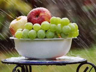 Anti Panas Dalam! Ini Buah Segar yang Aman Dikonsumsi Saat Puasa